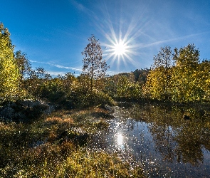 Las, Staw, Promienie, Słońca