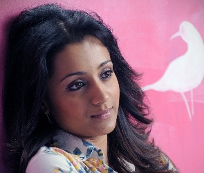 Trisha, Krishnan