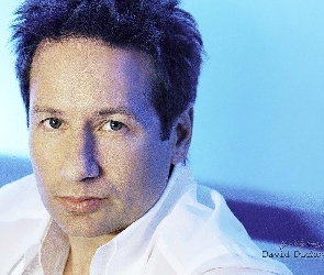 David Duchovny, ciemne włosy, biała koszula