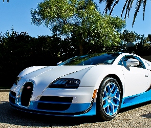 Palmy, Bugatti Veyron