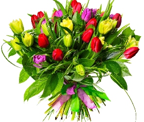 Bukiet, Tulipany, Kwiaty