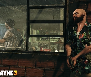 Max Payne 3