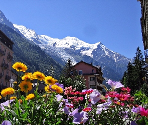 Góry, Chamonix, Kwiaty, Domy