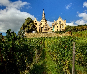Zamek Arenfels, Niemcy, Winnica, Wzgórze