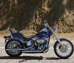 Chopper, Harley Davidson Softail Custom 
