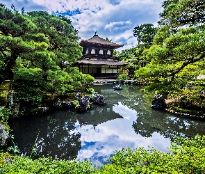 Ogród, Świątynia, Staw, Japoński