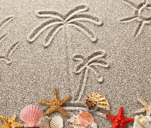 Plaża, Rysunek