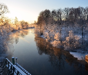 Rzeka, Drzewa, Zima