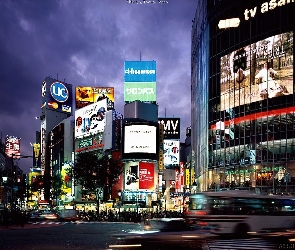 Shibuya, Tokyo, Japonia