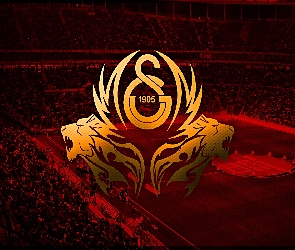 piłka nożna, sport, Galatasaray Stambuł