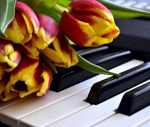 Czerwone, Pianino, Klawisze, Tulipany, Żółto