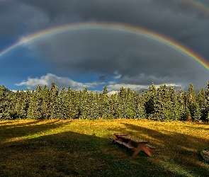Ławka, Las, Niebo, Tęcza