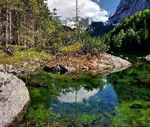 Gosau, Jezioro, Odbicie, Góry, Światło, Cień, Las