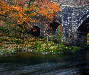 Most, Jesien, Rzeka
