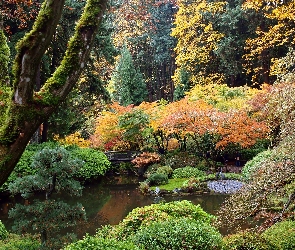 Portland, Park, Ogród, Oregon, Mostek, Japoński, Staw