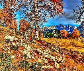 Jesień, Świerk, Góry