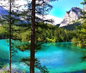 Drzewa, Las, Jezioro, Góry