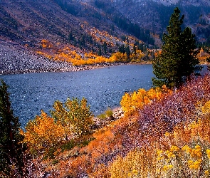 Rzeka, Góry, Jesień