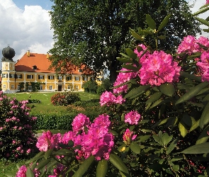 Zamek, Rododendrony, Park, Wiosna, Ramspau