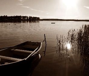 Jezioro, Las, Sepia, Łódka, Przebijające, Światło, Szuwary