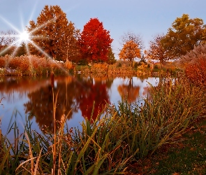 Jesień, Słońca, Promienie, Rzeka