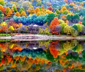 Kolorowe, Jesień, Jezioro, Drzewa