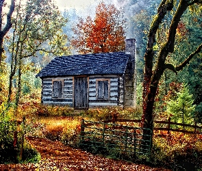 Domek, Płot, Las