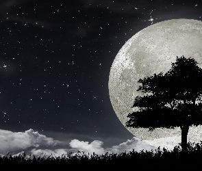 Gwiazdy, Drzewo, Księżyc