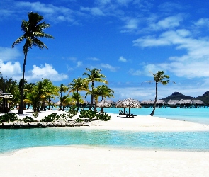 Plaża, Bora Bora, Palmy, Domki, Morze
