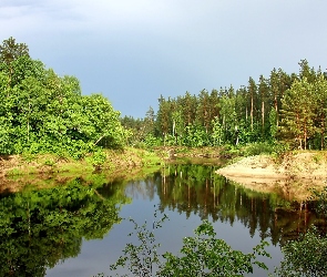 Las, Odbicie, Cień, Światło, Jezioro