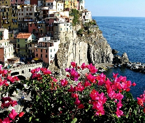 Miasto, Liguria, Bugenwilla, Riomaggiore, Morze