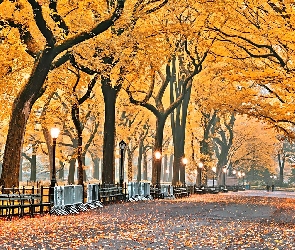 Park, Latarnie, Jesień
