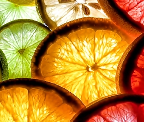 Cytrusowe, Plasterki, Owoce