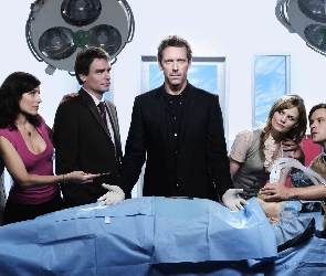 Hugh Laurie, Serial, Dr House, Aktorzy