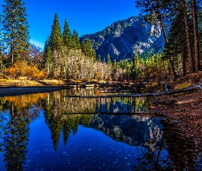 Rzeka, Lasy, Stan Kalifornia, Stany Zjednoczone, Park Narodowy Yosemite, Góry