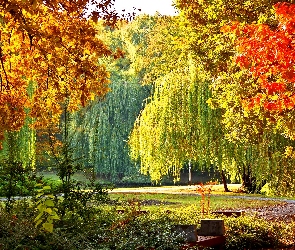 Jesień, Park