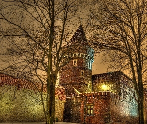 Zima, Drzewa, Zamek