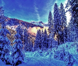 Zimowy, Góry, Pejzaż
