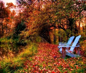 Liście, Park, Jesień