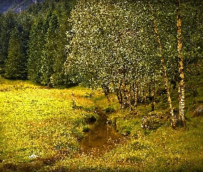 Polana, Brzozy, Strumyk, Las, Łąka