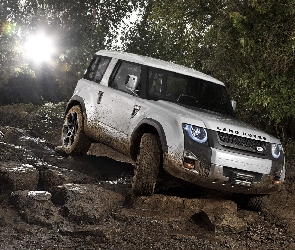 Kamienie, Drzewa, Land Rover, Discovery