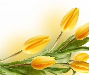 Żółte, Tulipany, Kwiaty
