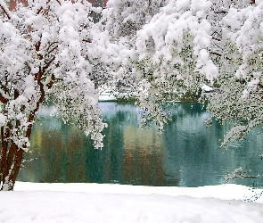 Drzewa, Ośnieżone, Zima, Jezioro