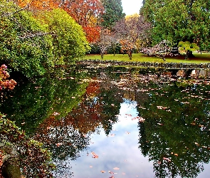 Hatley, Victoria, Jesień, Staw, Park
