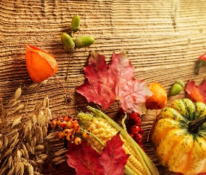 Dynia, Jesień, Liście, Kukurydza