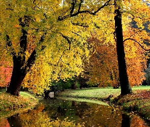 Park, Rzeczka, Jesień
