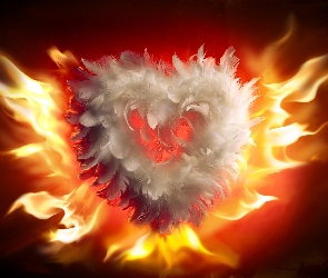 Serce, Ogień