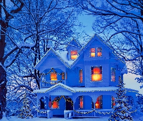 Zima, Drzewa, Dekoracja, Dom, Świąteczna