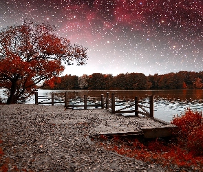 Jezioro, Drzewa, Gwiazdy, Pomost