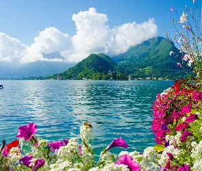 Morze, Kwiaty, Kolorowe, Góry